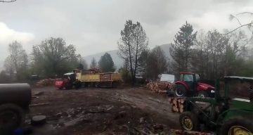 Orman işçilerinin yakınına yıldırım düştü, o anlar korkuya neden oldu