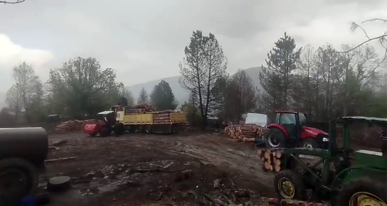Orman işçilerinin yakınına yıldırım düştü, o anlar korkuya neden oldu