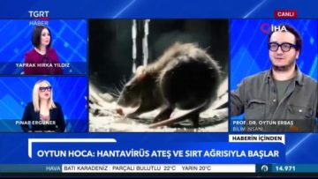 Prof. Dr. Oytun Erbaş’tan hantavirüs açıklaması: “İnsandan insana bulaşmıyordu, bir varyantı var, And-v virüsü insandan insana bulaşıyor”