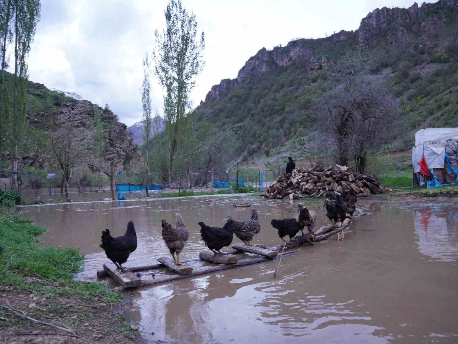 Şırnak’ta sel suları köprüleri yıktı, ev ve ahırlar sular altında kaldı