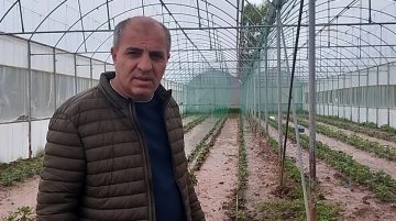 Sivas’ta dere taştı: Sera ve bahçeler sular altında kaldı