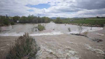 Türkiye’nin en uzun nehri Kızılırmak’ı besleyen Yıldız Irmağı coştu