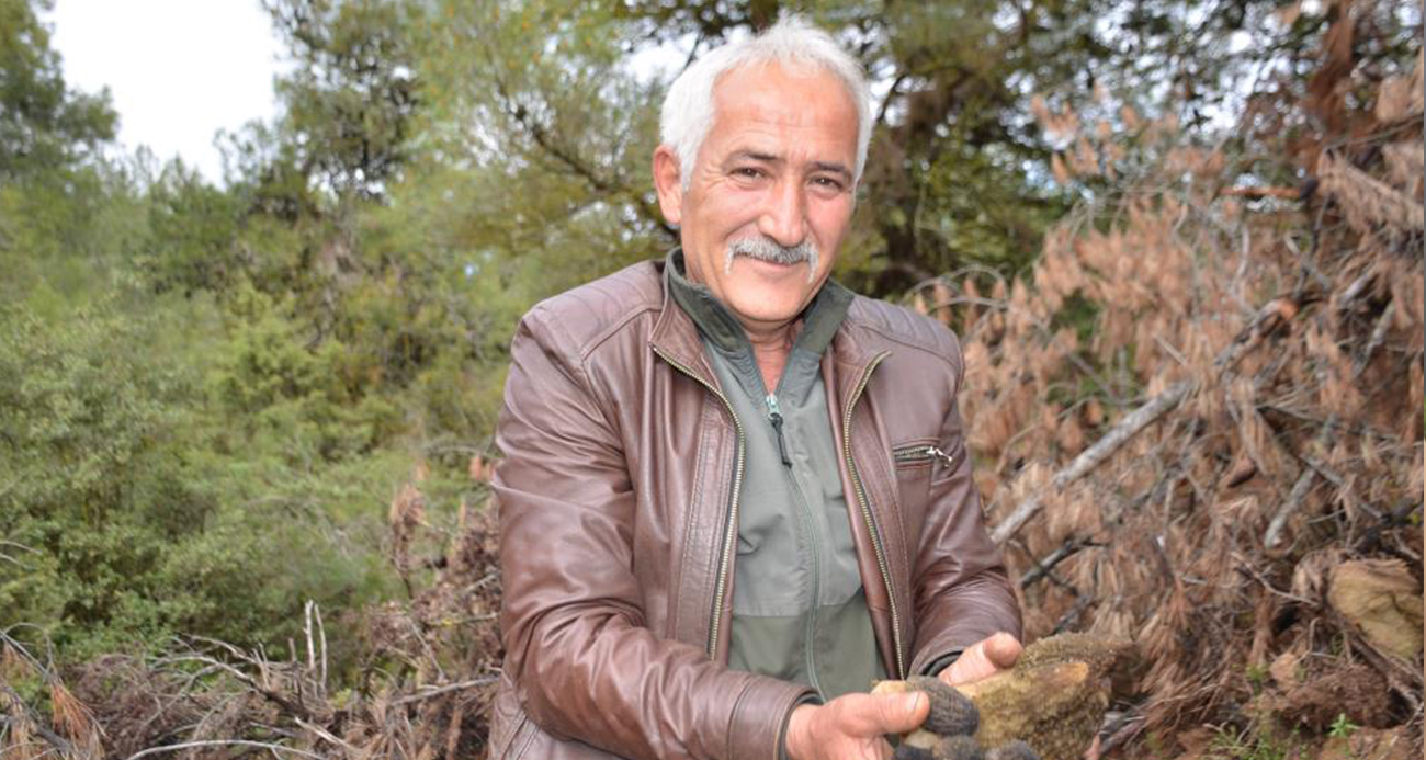 Yanan ormanlık alanda doğanın cömertliği köylüleri sevindirdi: Fiyatı gram altında yarışıyor