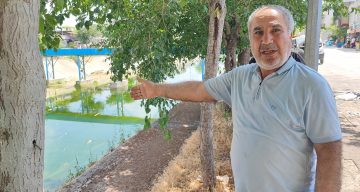 Adana’da sivrisinek istilasına vatandaş tepkisi: “Çocuklarımız yara içinde kaldı”