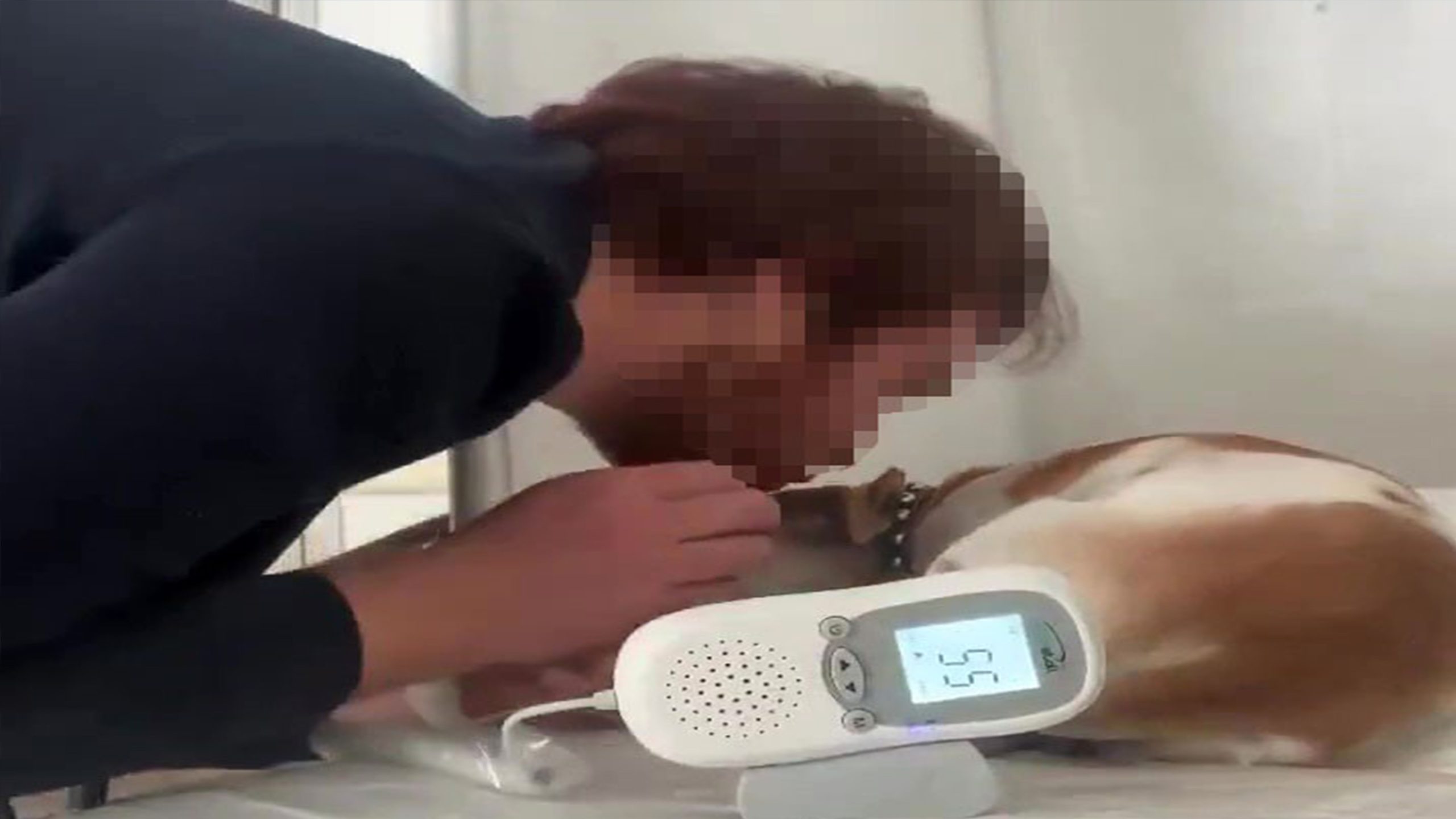 Aile sağlığı merkezindeki sedyede köpek tedavi eden doktorun skandal ifadeleri yeniden gündem oldu