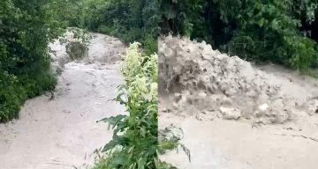 Bolu’da dereler taştı, tarım arazileri sular altında kaldı