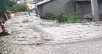 Bolu’da sağanak yağış dereleri taşırdı: Bahçe ve ahırlar sular altında kaldı