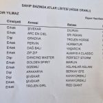 blank