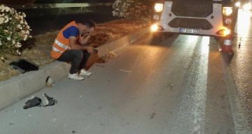 Kızını YKS’ye götürmek için yola çıktı, feci kazada hayatını kaybetti