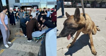 Köpeğin saldırdığı kadın yaralandı