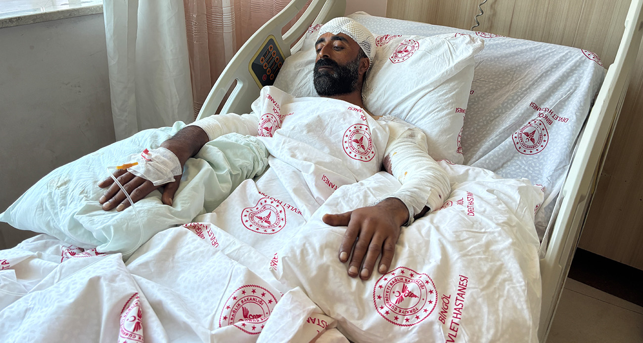 Mantar toplarken ayı saldırısına uğradı, kollarıyla başını siper ederek hayatta kaldı
