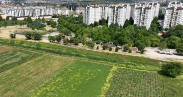 Milyonlarca liralık konutların arasında tarımsal üretim mücadelesi