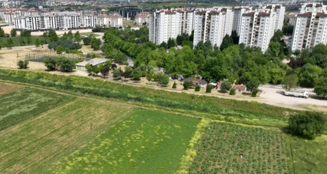 Milyonlarca liralık konutların arasında tarımsal üretim mücadelesi