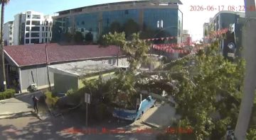 Osmaniye’de çınar ağacı, halk otobüsünün üzerine düştü: Saniyelerle kurtuldu
