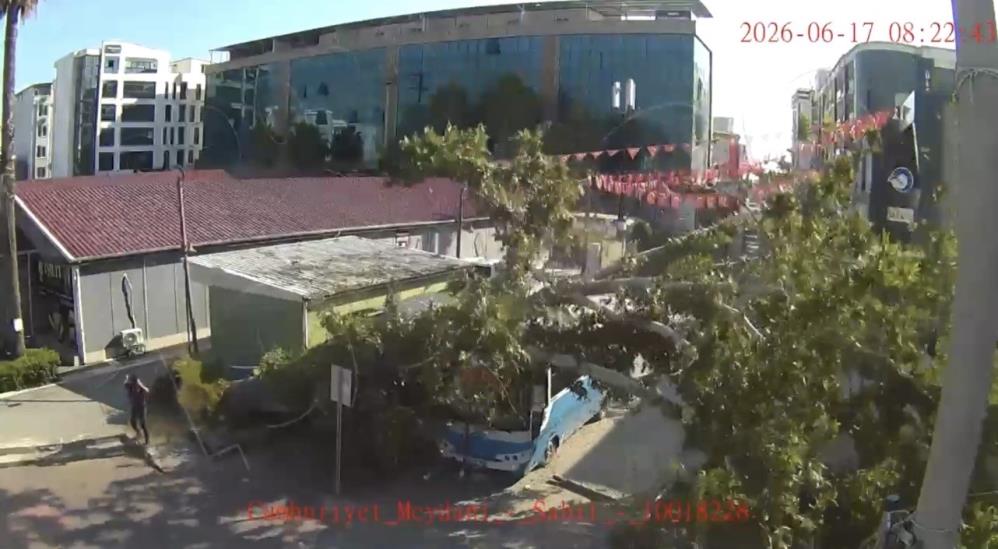 Osmaniye’de çınar ağacı, halk otobüsünün üzerine düştü: Saniyelerle kurtuldu