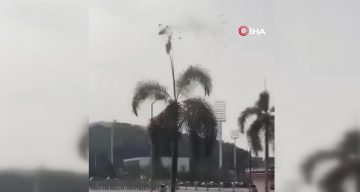 Rio de Janeiro’da iki helikopter havada çarpıştı: 6 ölü
