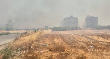 Silivri’de korkutan tarla yangını: Polis vatandaşları uyardı