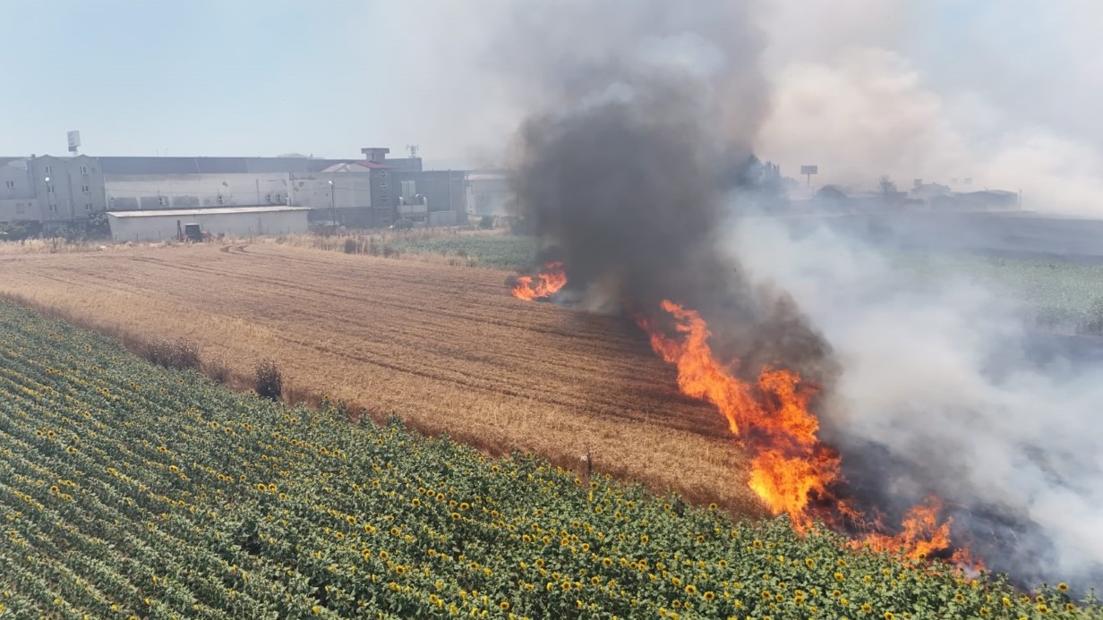 Silivri’de korkutan yangın: Havadan ve karadan müdahale sürüyor