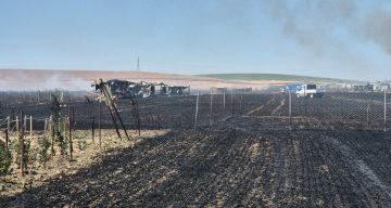 Tekirdağ’da 2 farklı noktada çıkan yangın söndürüldü: 700 dönümlük alan ve 20 konteyner kül oldu