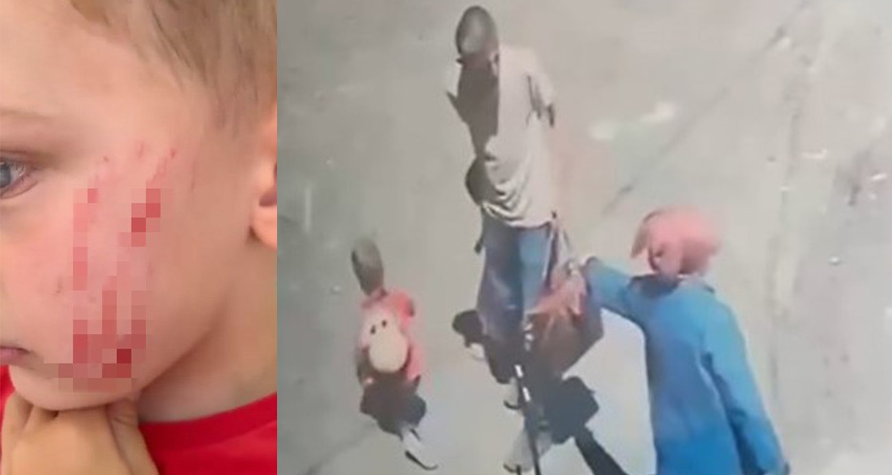 Van’da sokakta oynayan çocuğa saldırı: O anlar kamerada