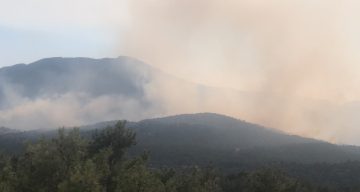 Antalya’daki orman yangınına müdahale sürüyor