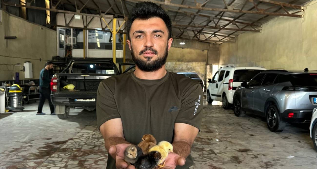 Bir belgesel izledi, hayatı değişti: Oto yıkama dükkanından tavukçuluk fabrikasına uzanan azim hikayesi