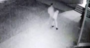 Cami avlusunda uygunsuz davranış uyarısı saldırıyla bitti: İmam böyle darp edildi