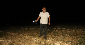 Çiftçilerin “beyaz altın” nöbeti: Bir yıllık emekleri için sabaha kadar tarlada bekliyorlar