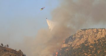 Dünyaca ünlü travertenlerin yakınındaki ormanlık alanda yangın