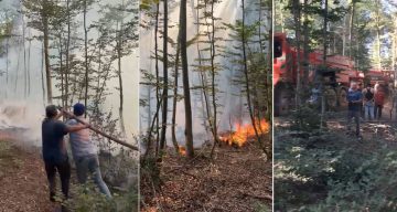 Karacabey’de orman yangını