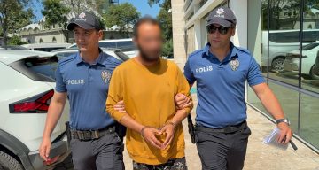 Kediye tekme atan şahıs tutuklandı: “Sinirliydim, pişmanım”