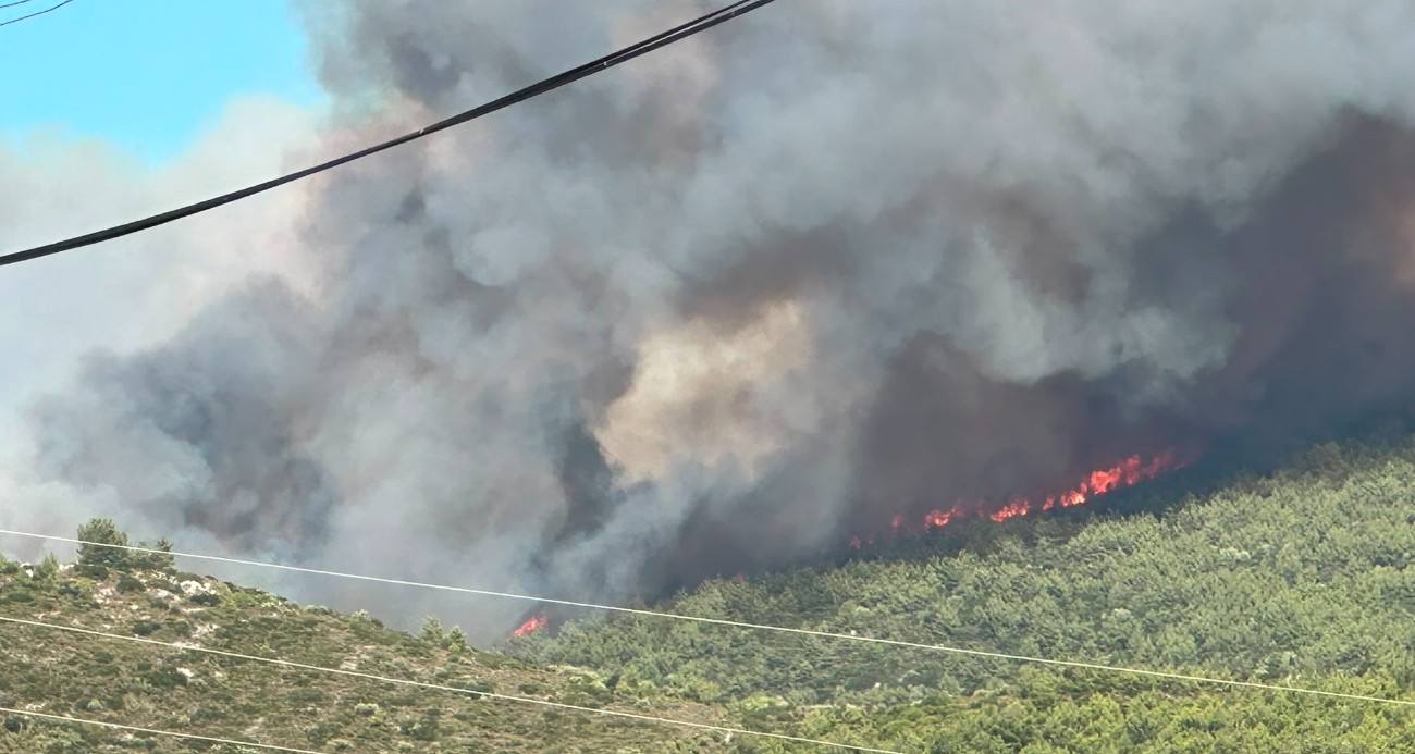 Milas’ta orman yangını