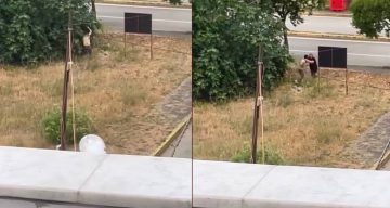 Tartıştığı amcasını palayla öldürdü