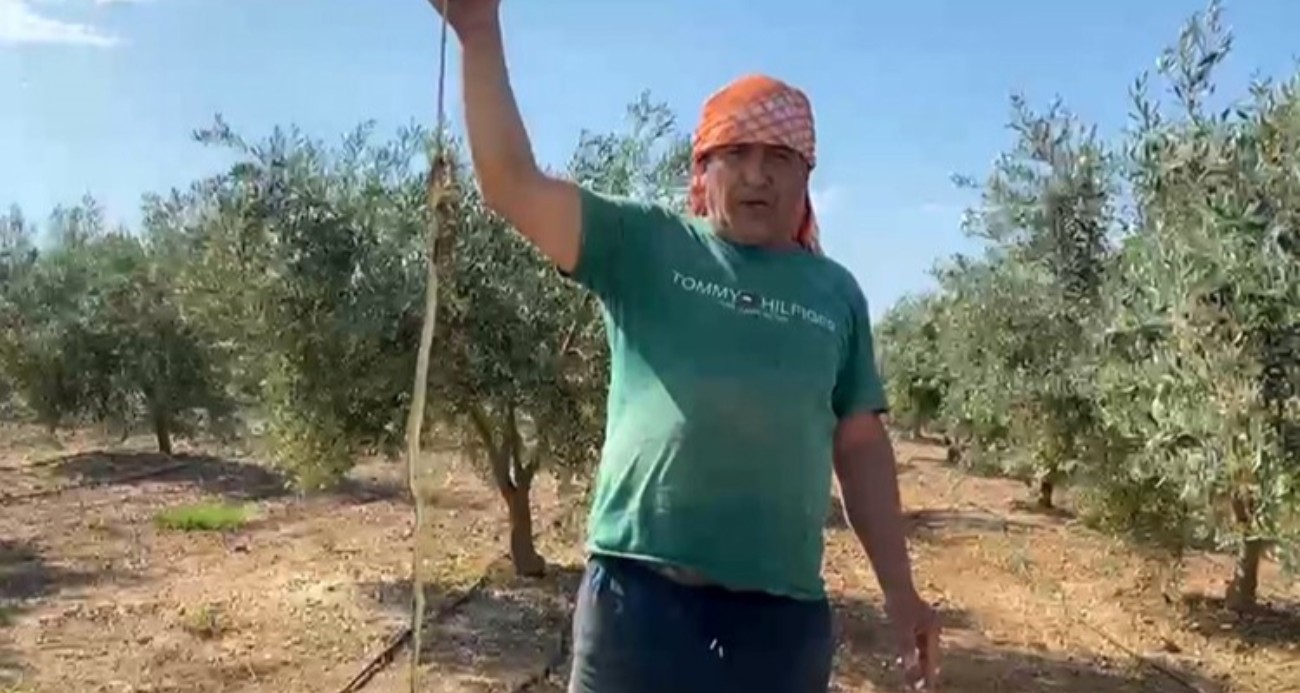 ’Yılanı öldürdüm’ deyip çektirdiği video pahalıya mal oldu: 22 bin TL ceza yedi