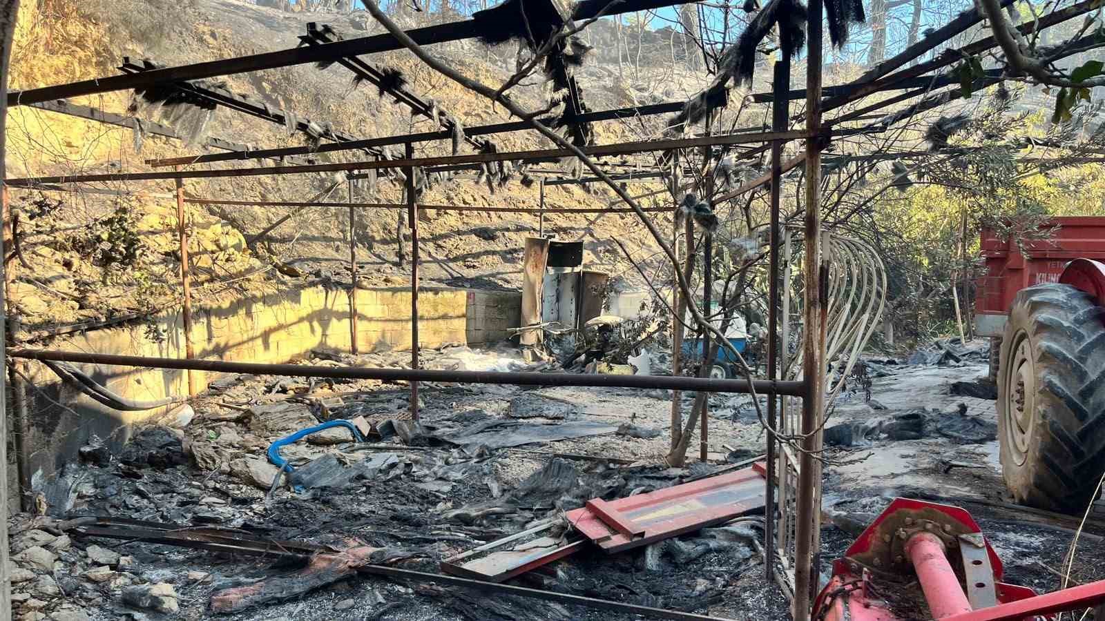 Alanya’da orman yangını muz seralarına sıçradı: 17 hektarlık alan zarar gördü