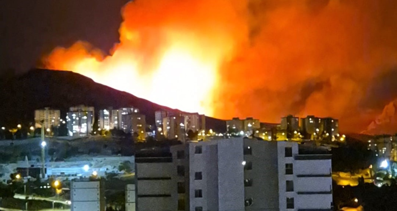 Ankara’da ağaçlık alanda yangın