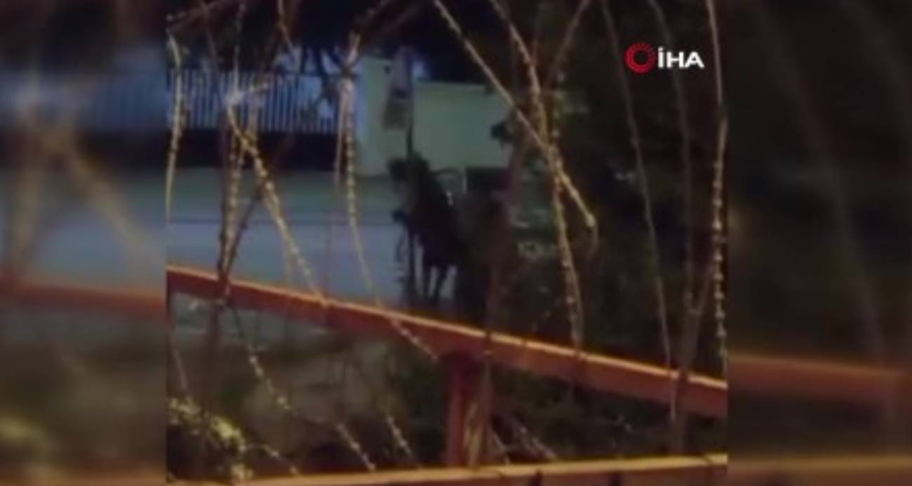Arnavutköy’de yürek burkan görüntüler: Dakikalarca atı dövdü