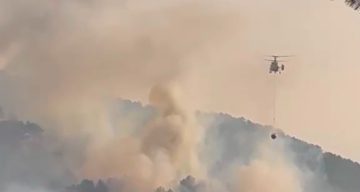 Bolu’daki orman yangını kontrol altına alındı