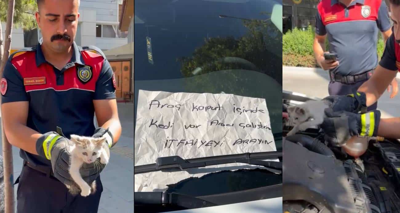 Burdur’da hayat kurtaran not: Aracın motor kısmına giren yavru kedi kurtarıldı