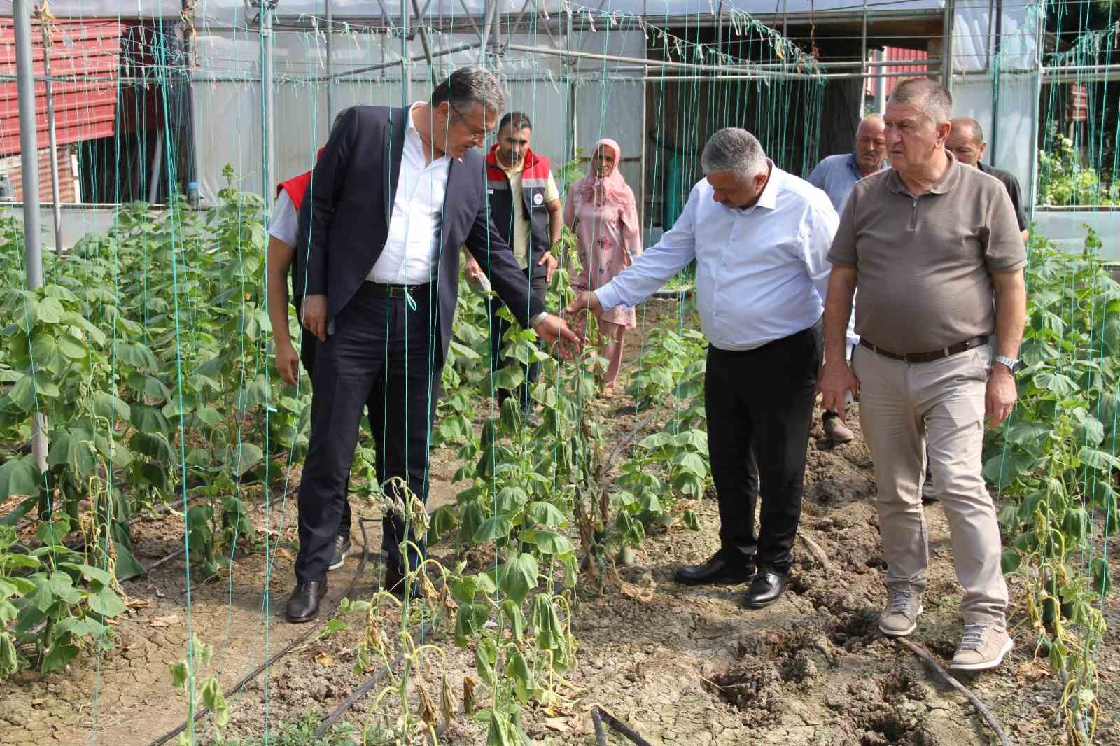 Çarşamba Ovası’nda sağanağın bilançosu ağır: 30 mahallede 5 bin dekar zarar