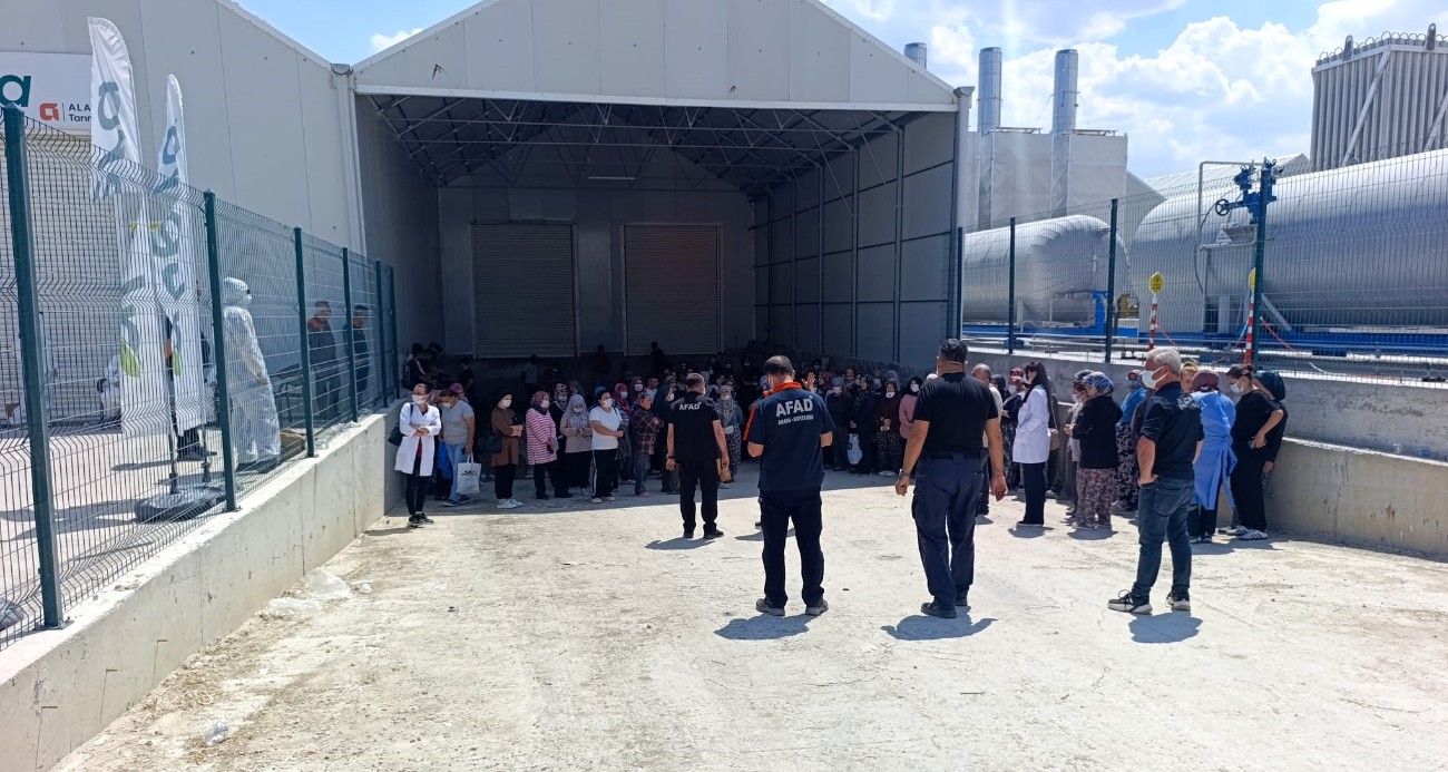 Domates serasında zehirlenme: 10 çalışan hastaneye kaldırıldı
