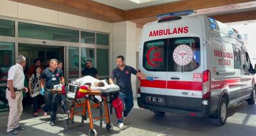 Karaman’da köpek dehşeti: 3 yaşındaki çocuk ağır yaralandı