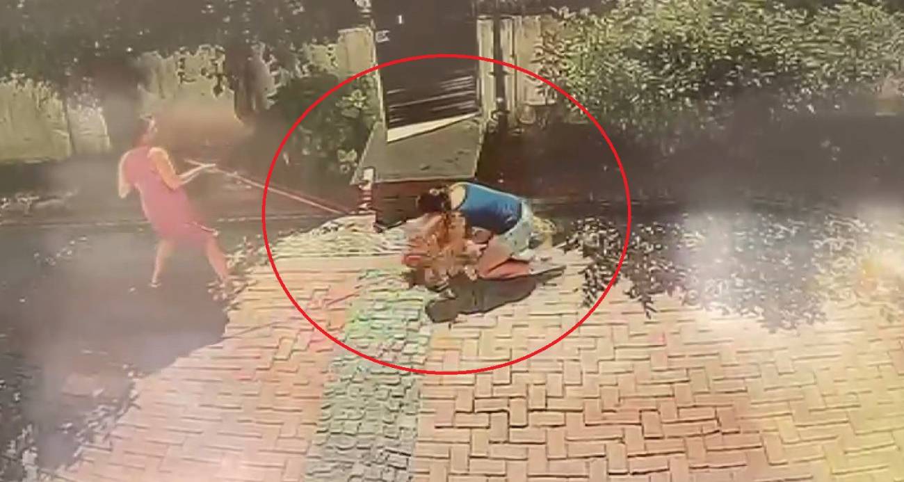 Samsun’da pitbull dehşeti: Küçük kızı yere savurdu, köpeğini ise ağır yaraladı