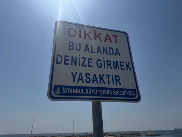 blank
