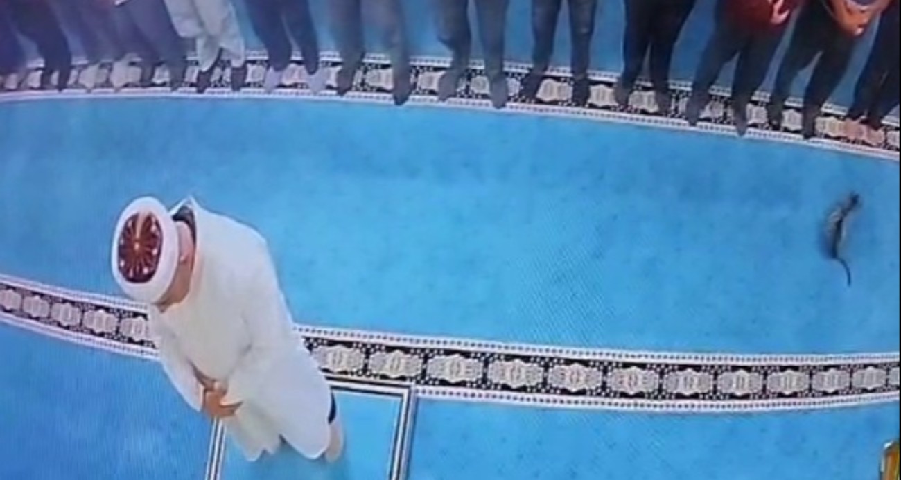 Camide kediyi tekmeleyen şahsa sosyal medyada tepki yağdı: Başsavcılık harekete geçti, gözaltına alındı