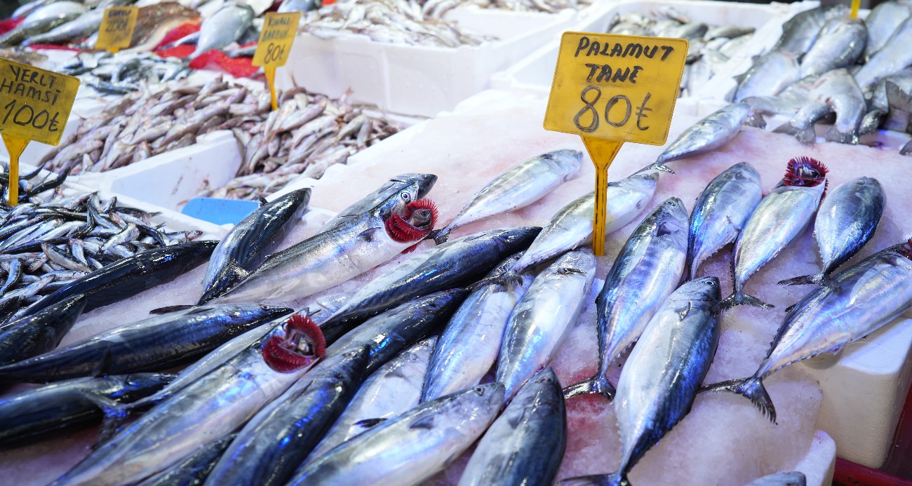 Karadeniz’de palamut patlaması: Tanesi 80 TL