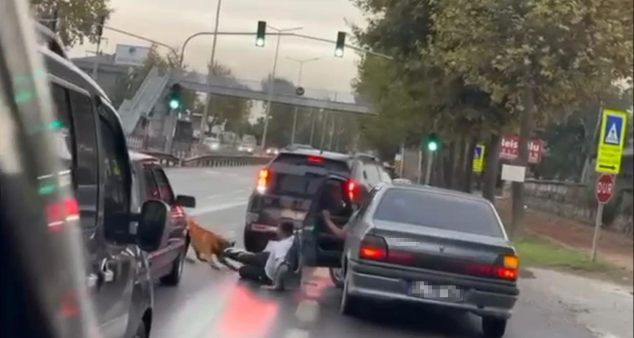 Köpeğin saldırısı ile dehşeti yaşamıştı: O anları anlattı