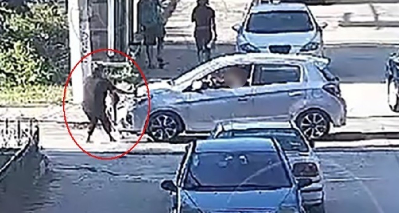 Minik Elif’e çarpan sürücü yeniden gözaltında