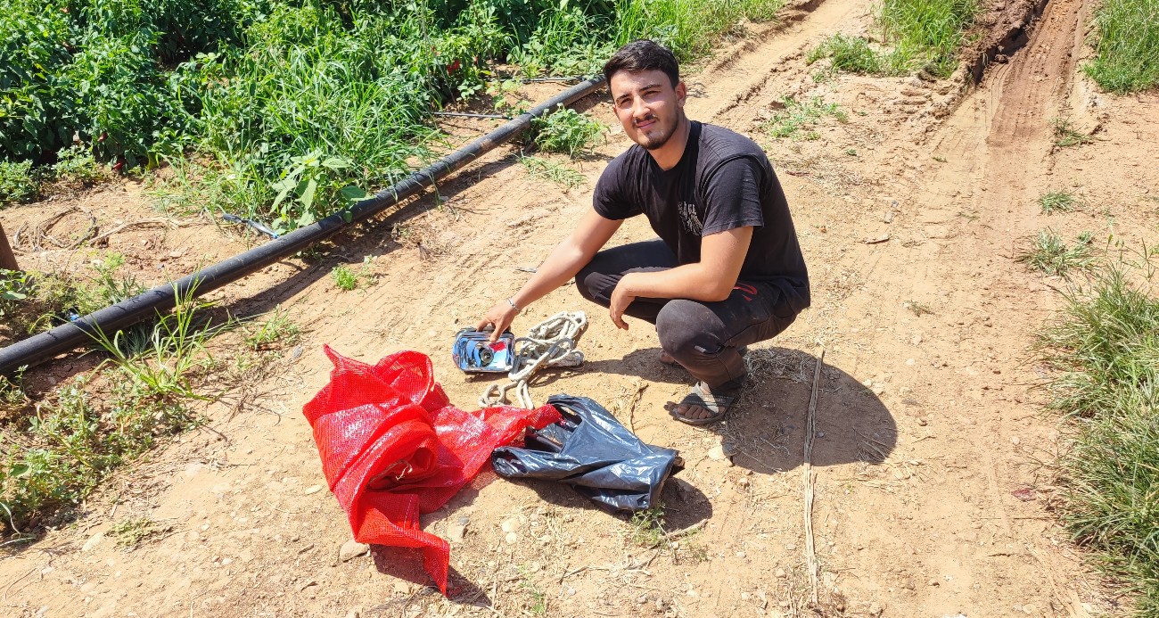 Salçalık biberi önce hırsızlar hasat etti