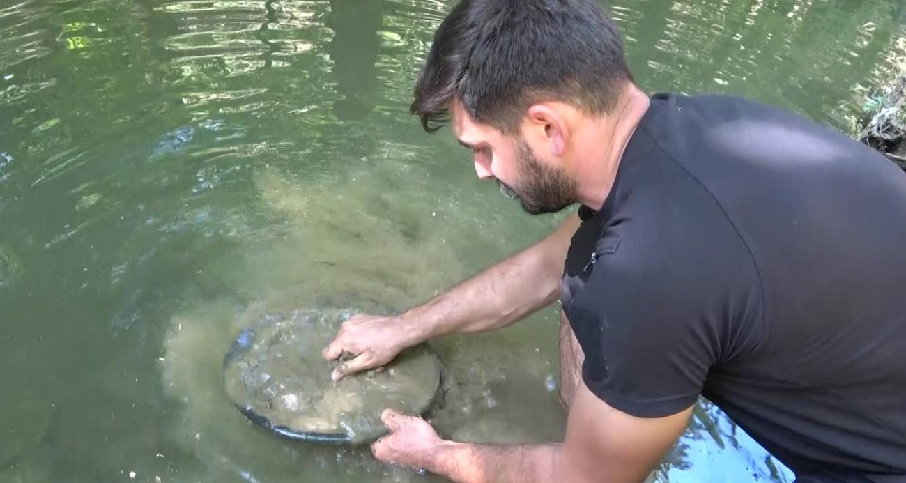 Türkiye’de altın çok arayan yok…Derelerde her gün 5 gram altın çıkarıyorlar